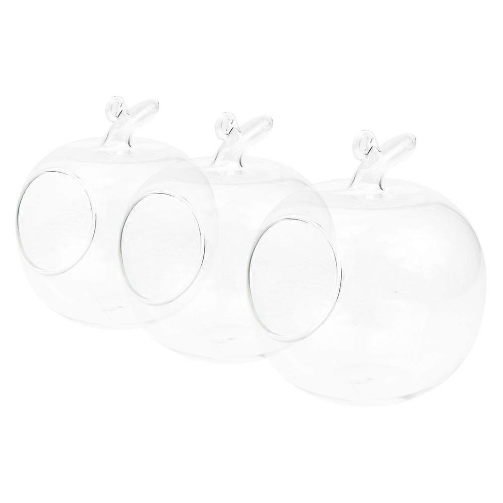 Clear Glass Hydroponic Bottle Apple Shaped for Decoration 6Pcs