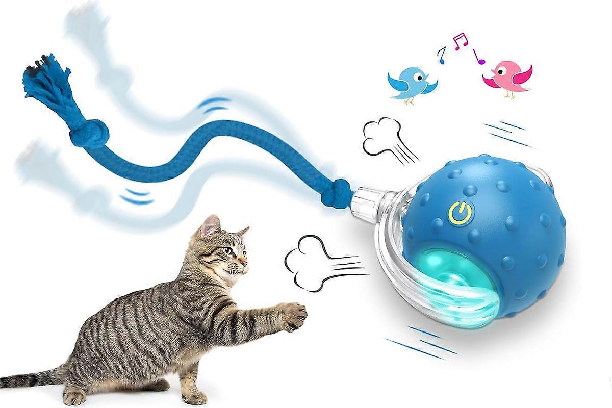 Chirping and Motion Activate Interactive Cat Toy Ball for Indoor