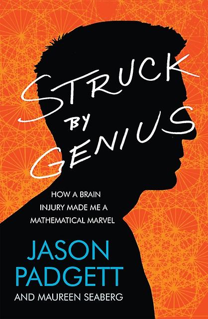 Struck By Genius by Maureen Seaberg Paperback