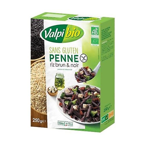Penne brown rice gluten-free Bio 250 g