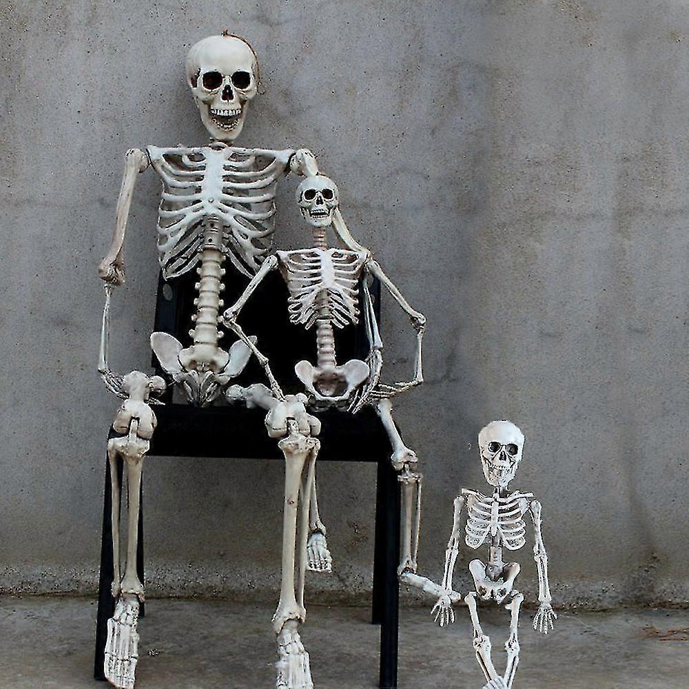 Full Life Size Skeleton Halloween Party House Hunted Prop