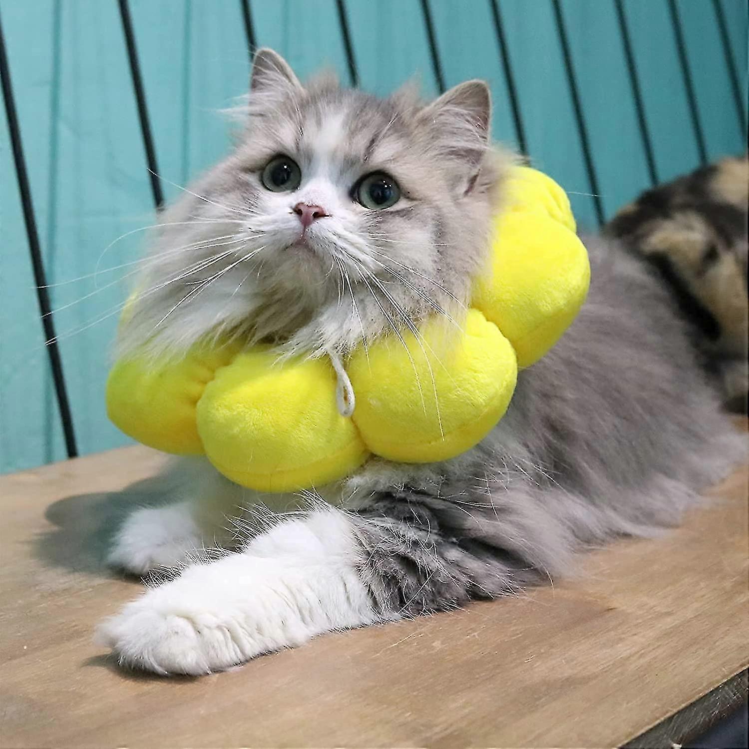 Adjustable Cone For Cats After Surgery,elizabethan Collar Cat Head Cone Recovery Collar For Cats Kitten And Puppy