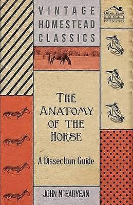 The Anatomy of the Horse  A Dissection Guide