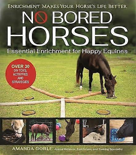 No Bored Horses: Essential Enrichment for Happy Equines