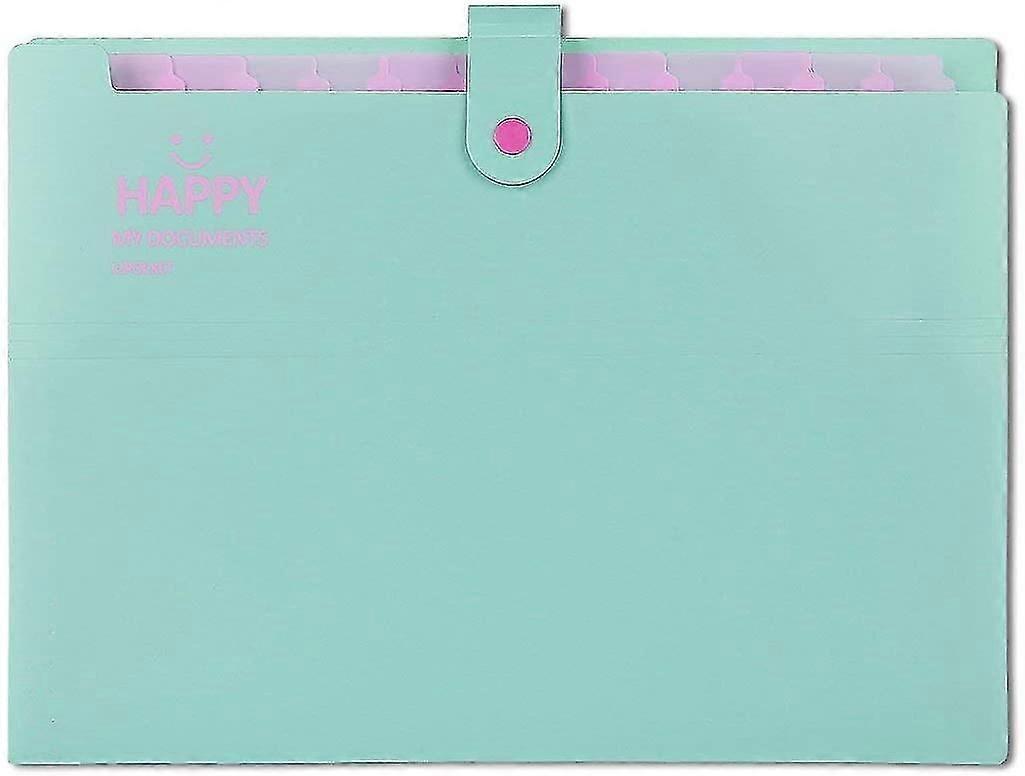 Expandable Portable File Folder, A4 Document Folder, A4 Folded Folder 12 compartments Handheld folde