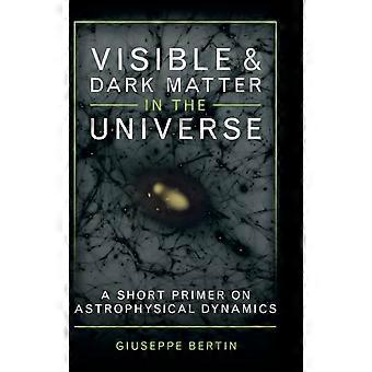 Matéria Visível e Matéria Escura no Universo - Giuseppe Bertin