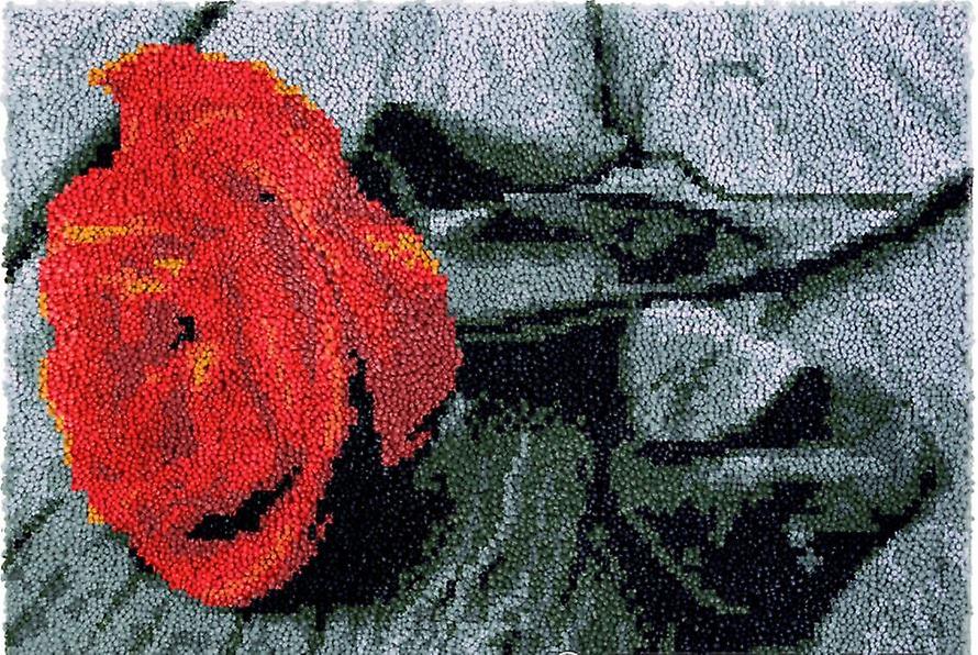 Rug Making Latch Hooking Kit | Red Rose (81x61cm)
