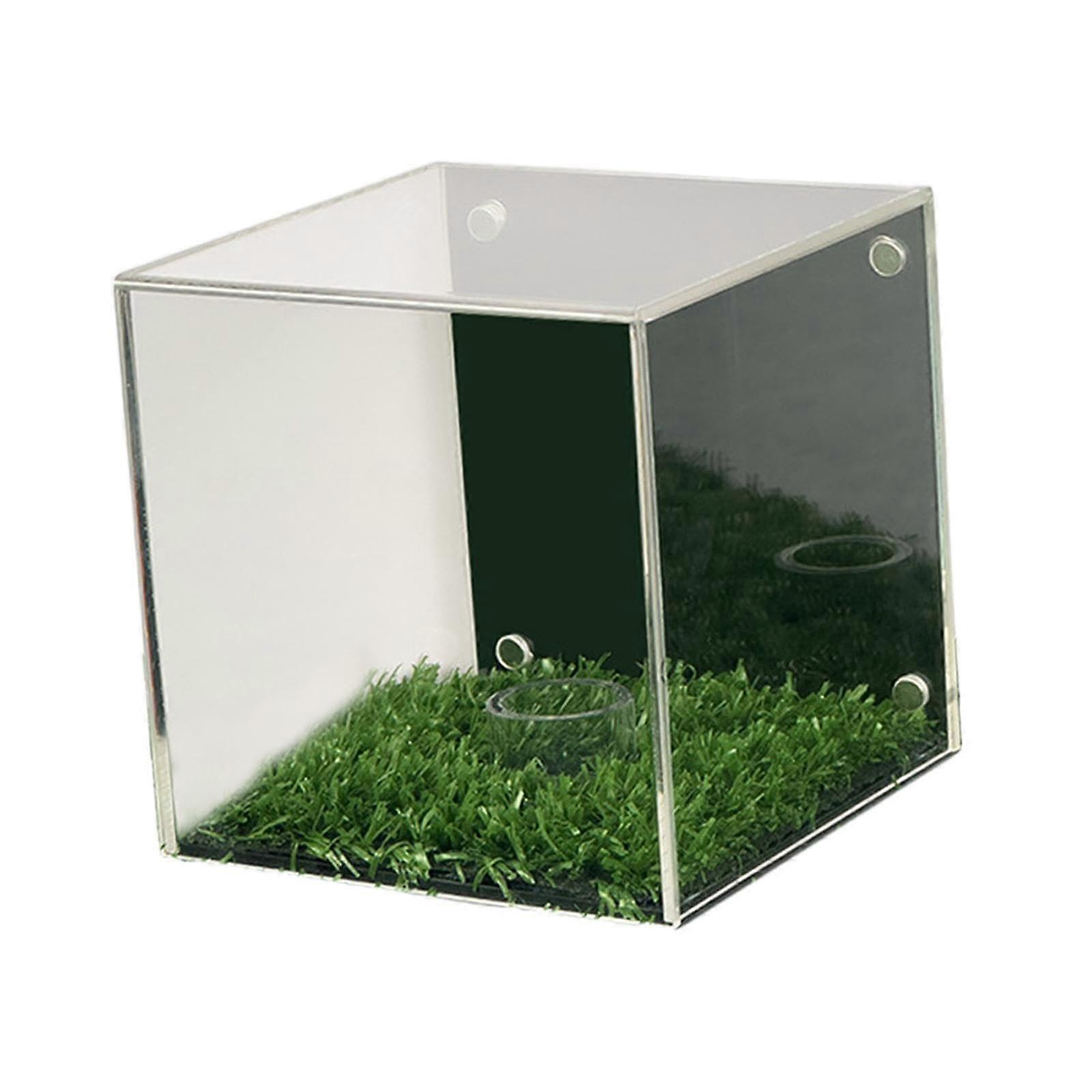 Golf Ball Display Case Dustproof Clear Acrylic Holder for Baseball Memorabilia Cube Stand