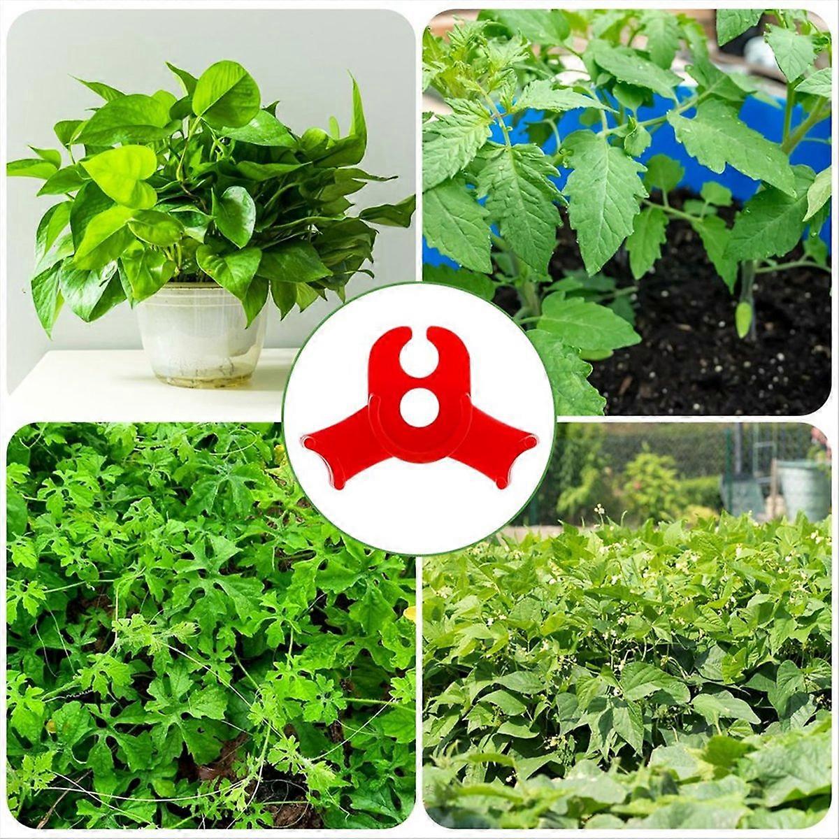 green plant 