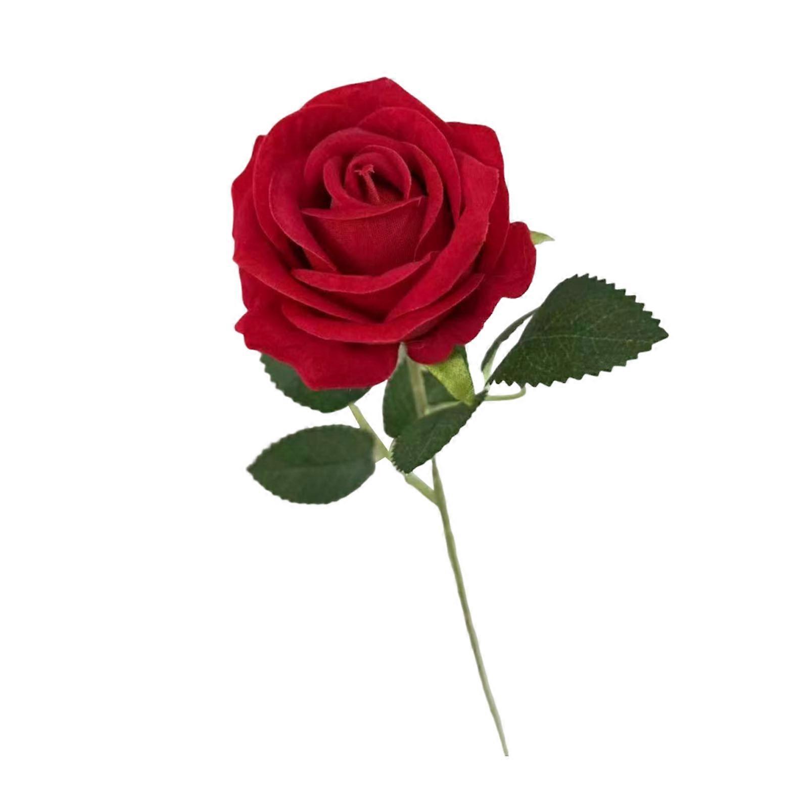 Long Stem for Tall and High and Elegant