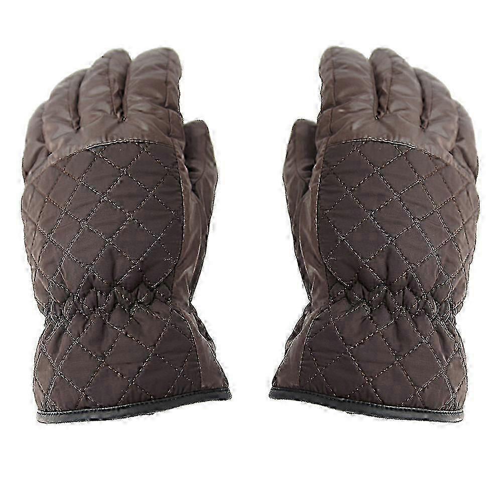 Women's Simple Mesh Winter Ski Gloves Waterproof Warm Windproof
