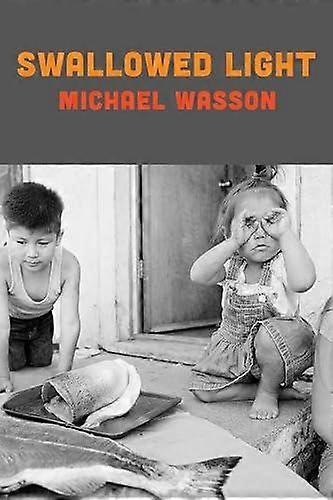 Swallowed Light - Michael Wasson - Paperback - en Book