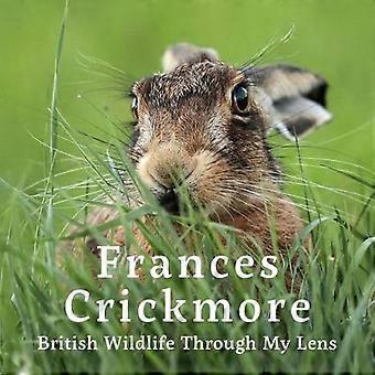 Frances Crickmore British Wildlife Through My Lens