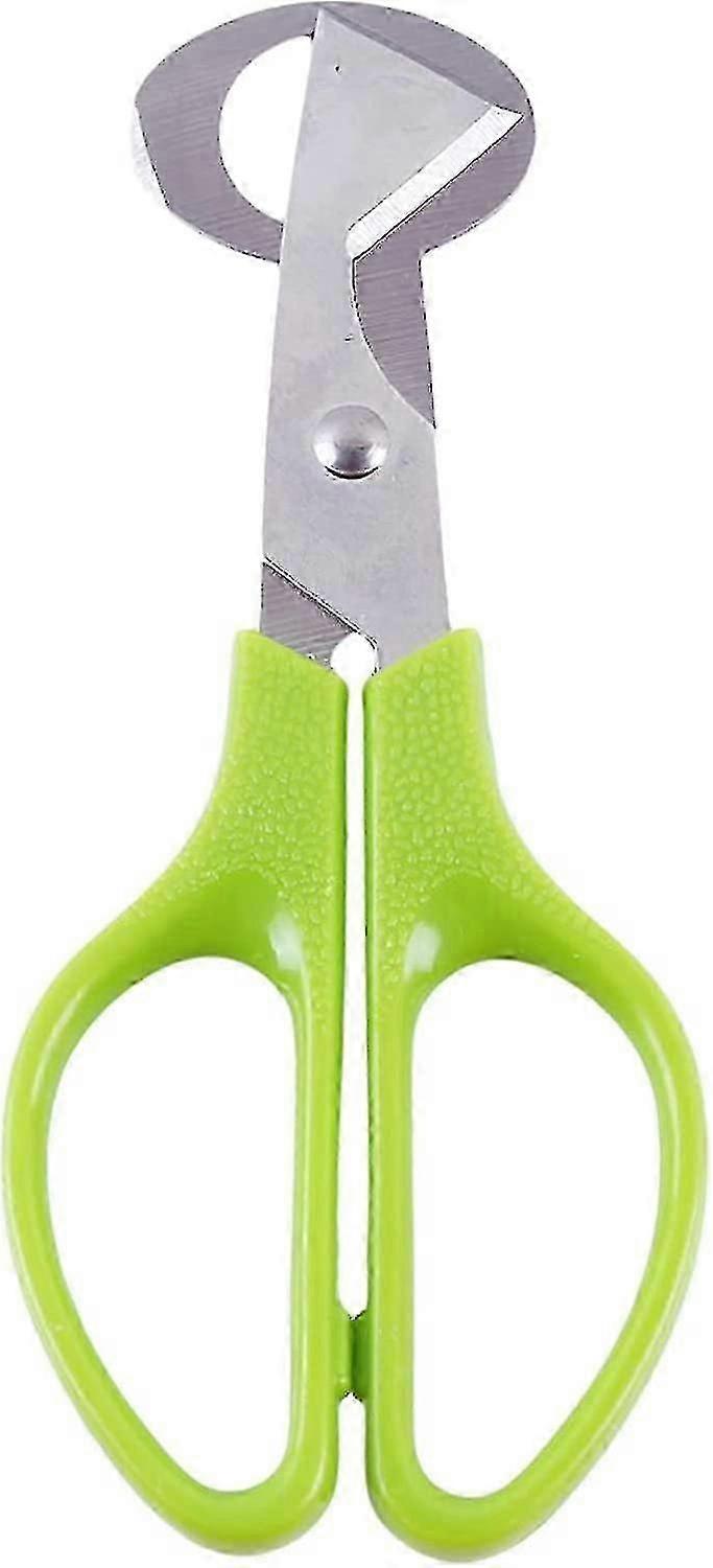 Stainless Steel Egg Scissors Quail Egg Open Tool Kitchen Egg Shears Tool(green) (5-e-0)