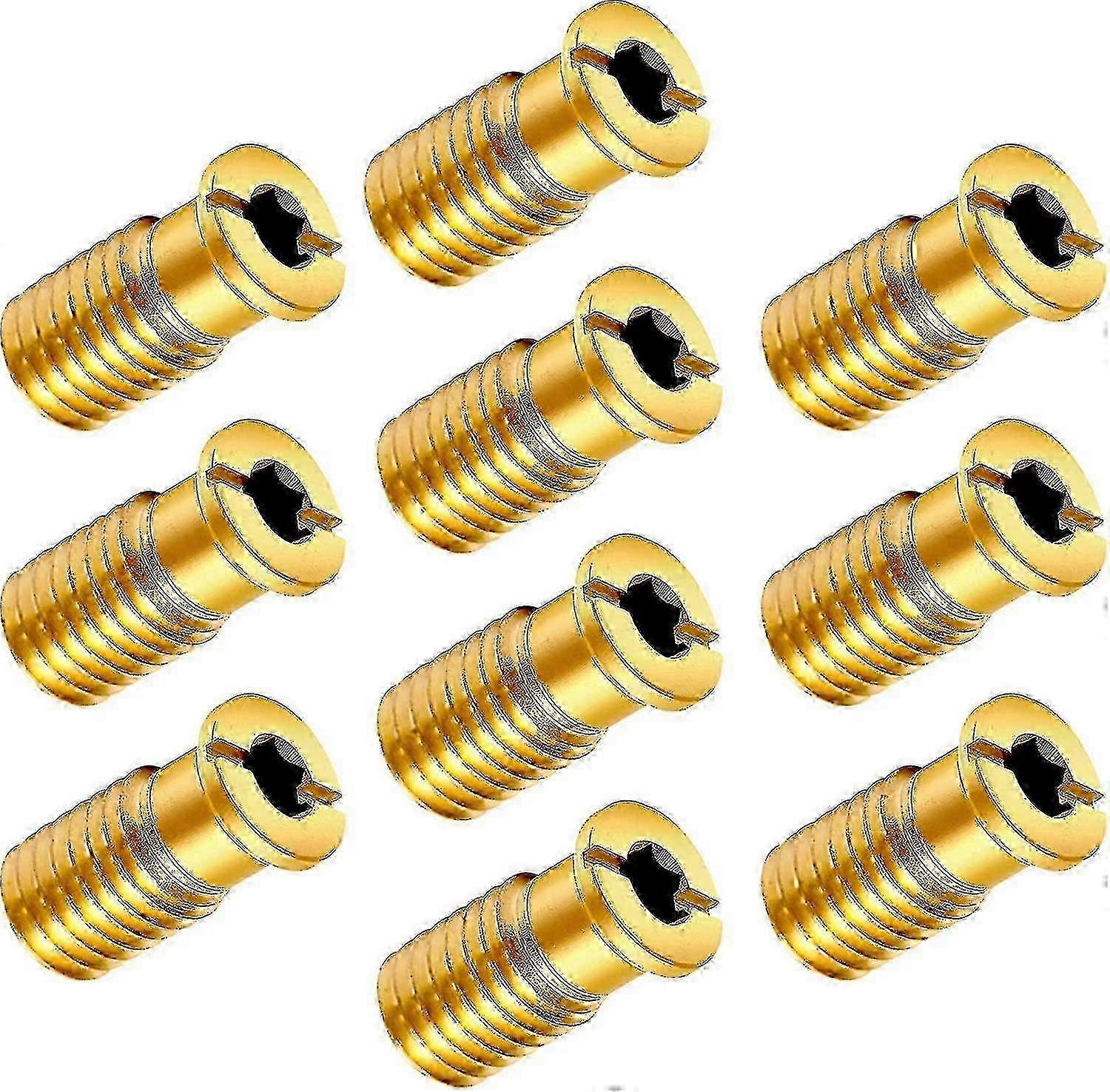 10-Pack Brass Pool Cover Screws