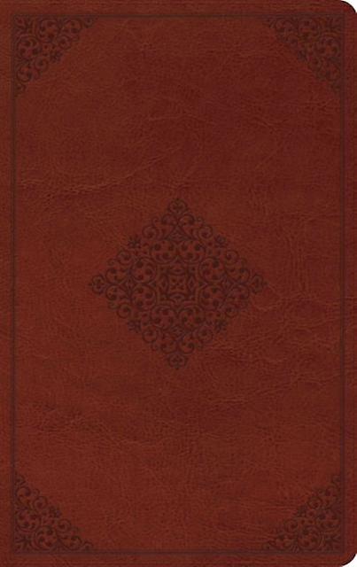 Esv Large Print Value Thinline Bible Leather  fine binding Book