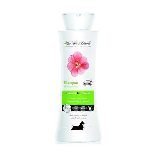 Eco Care Universal Shampoo 250 ml
