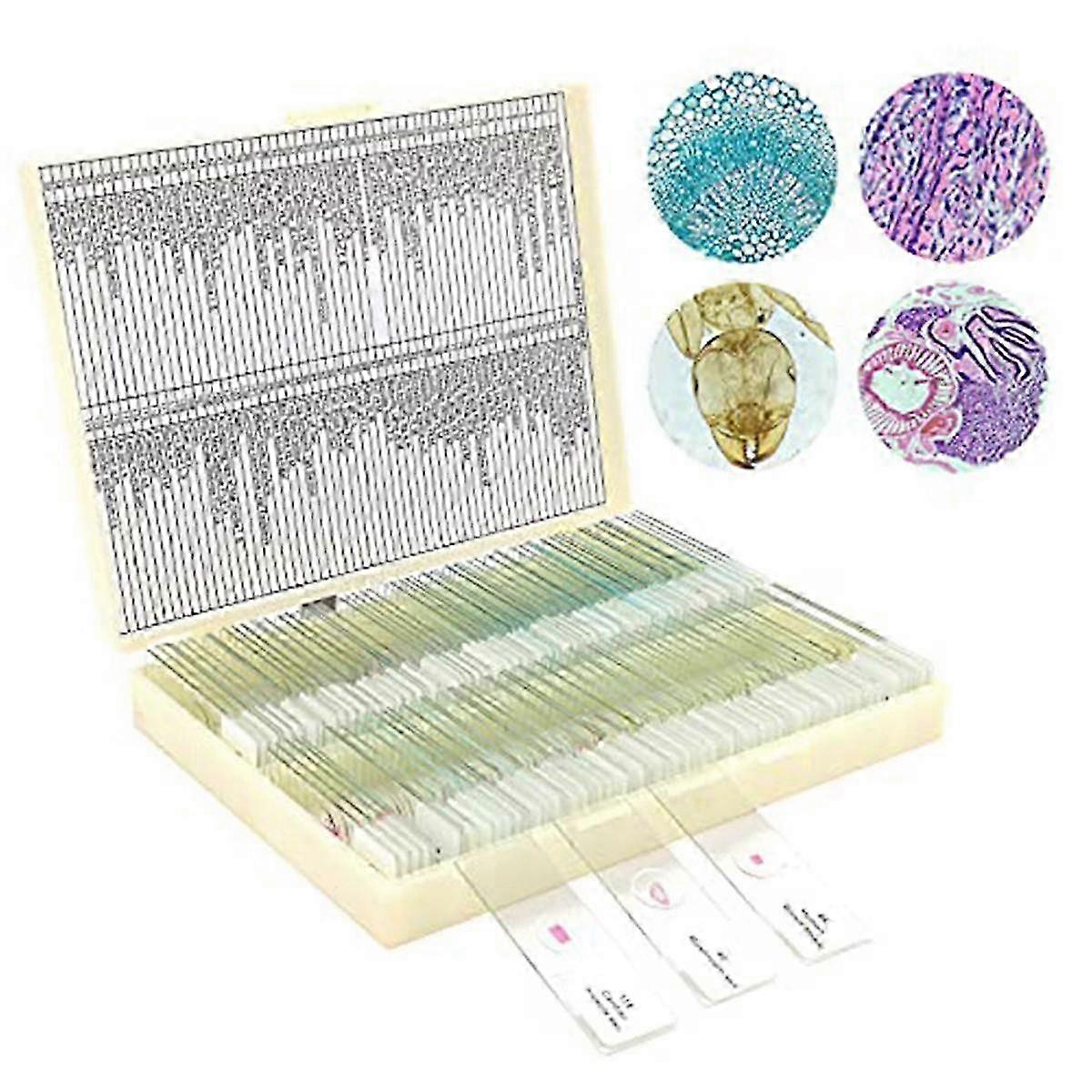 Çocuklardan Örneklerle Mikroskop Slaytları, Çocuklarda Yetişkin Mikrobiyoloji İçin Mikroskop Slaytları, 100pc