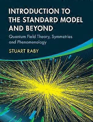 Introduction to the Standard Model and Beyond