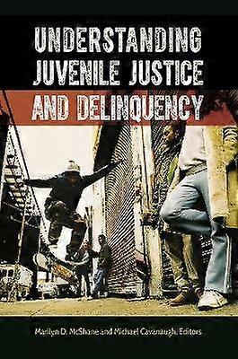 Understanding Juvenile Justice and Delinquency