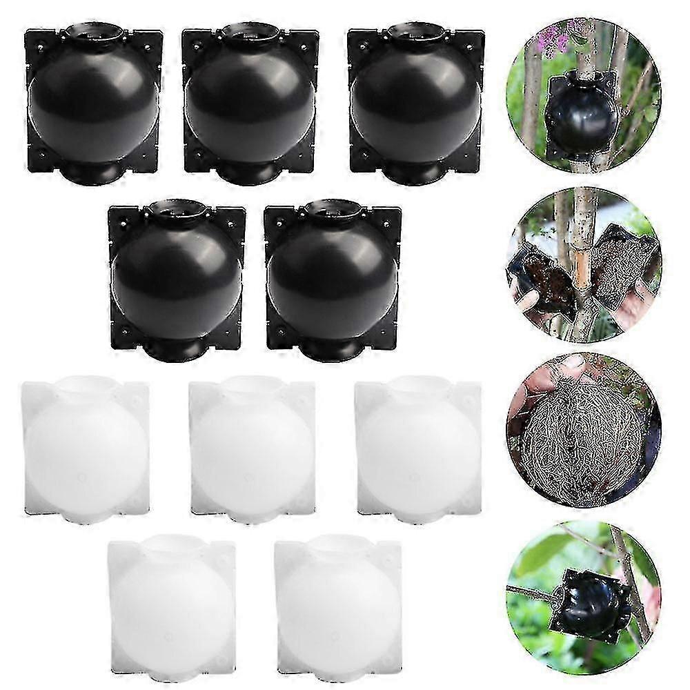 10 Pack Plant Rooting Deviceplant Root Growing Box For Plant Propagation Reasable Propagation Rooting Ball Zekai