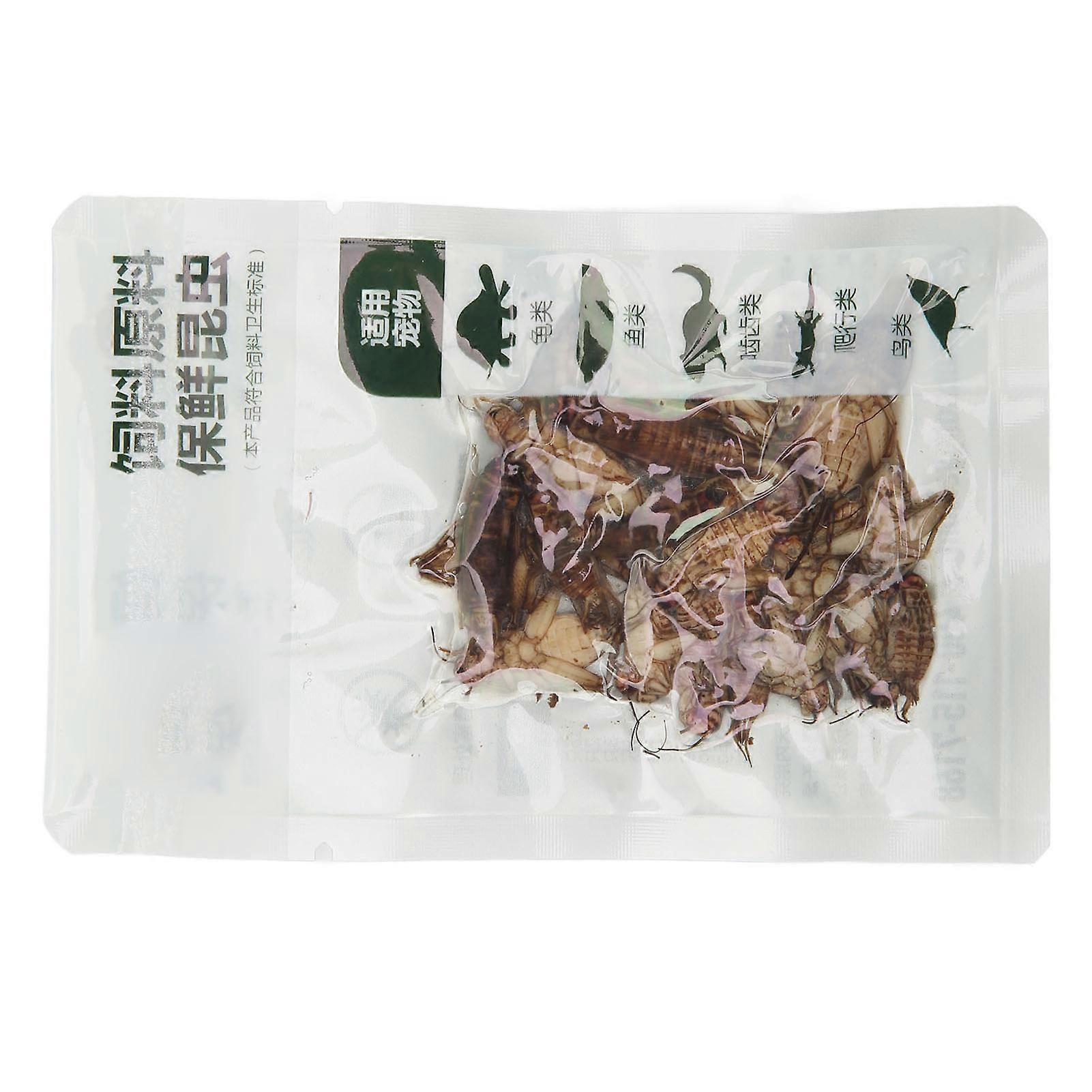 爬行动物 蟋蟀 食物 天然新鲜蟋蟀 胡须龙的食物 野鸟 鸡肉 鱼和爬行动物