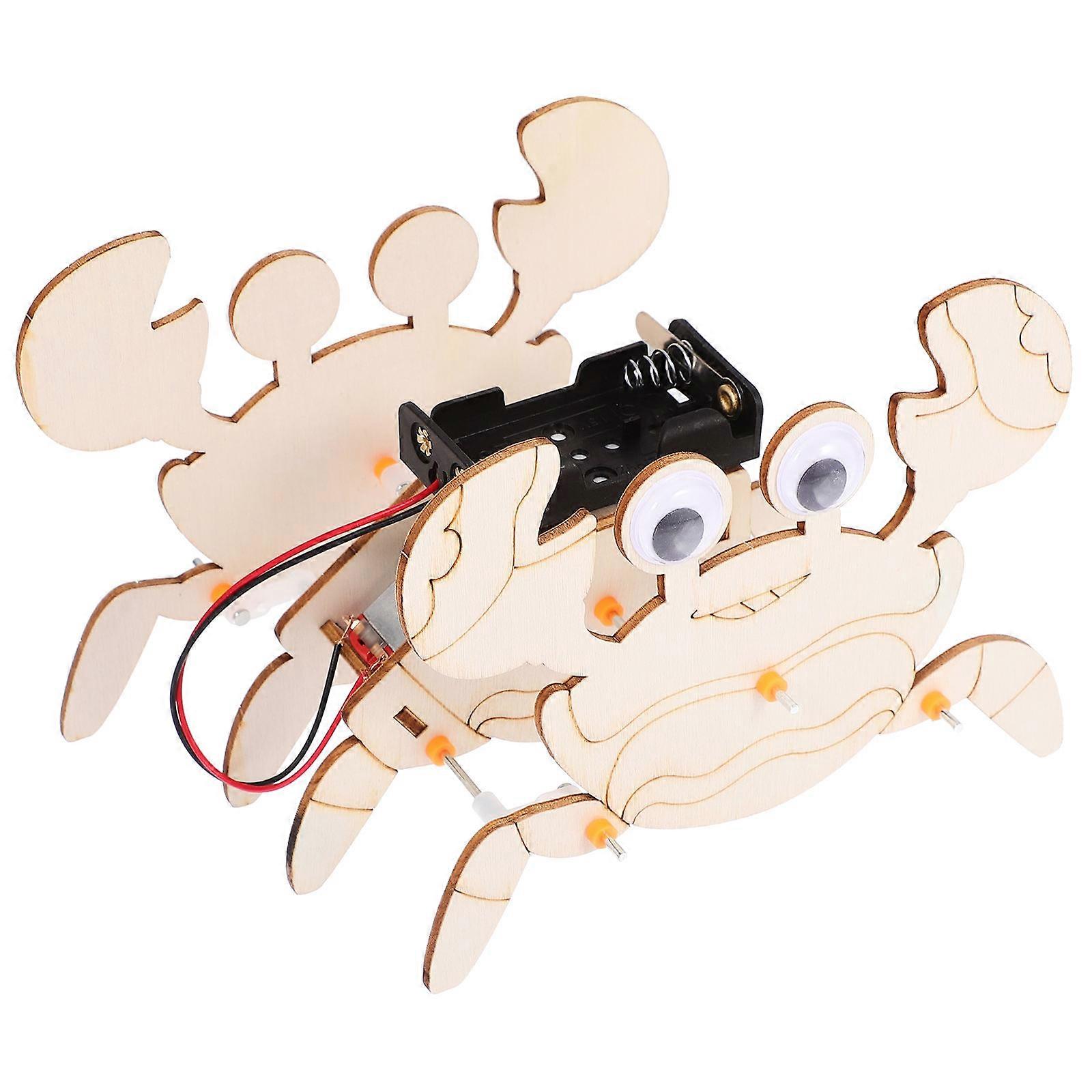 Educational DIY Science Toy Crab Model for Hands-on Exploration 1Set
