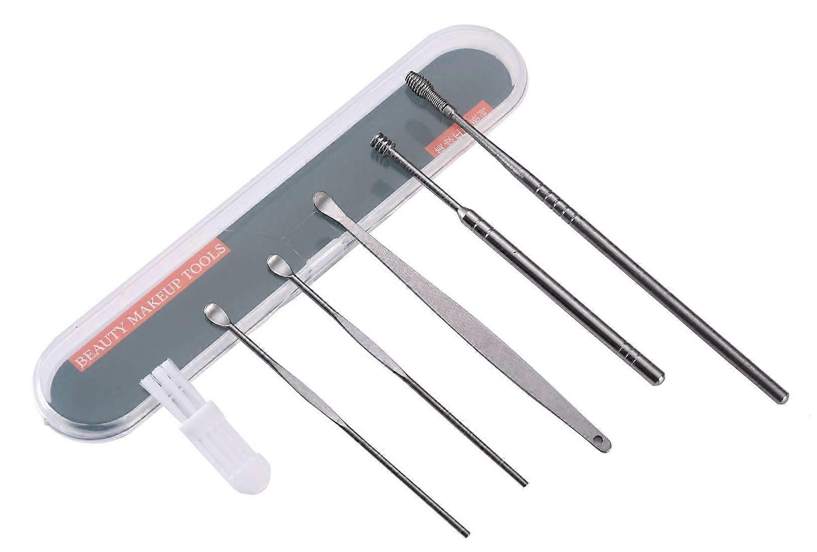 Stainless Steel Ear Cleaning Kit with MultiTip Tools and Portable Storage Box, 6 Pcs Set