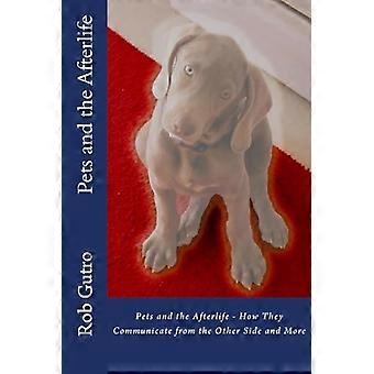Animaux de compagnie et l’au-delà
