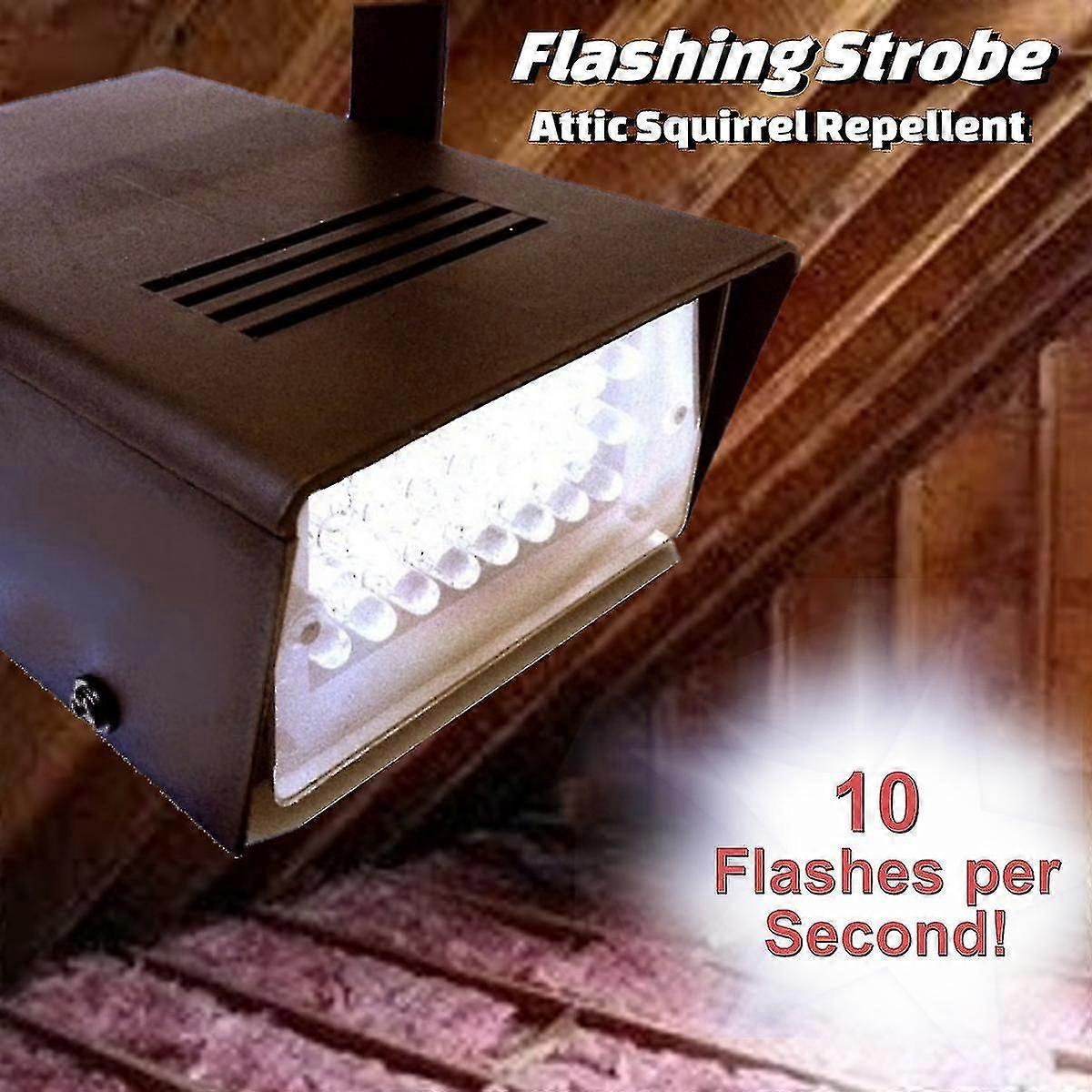 Mini Led Strobe Light With 24 Super Bright 20w Leds With Variable Speed Control-rox-st1