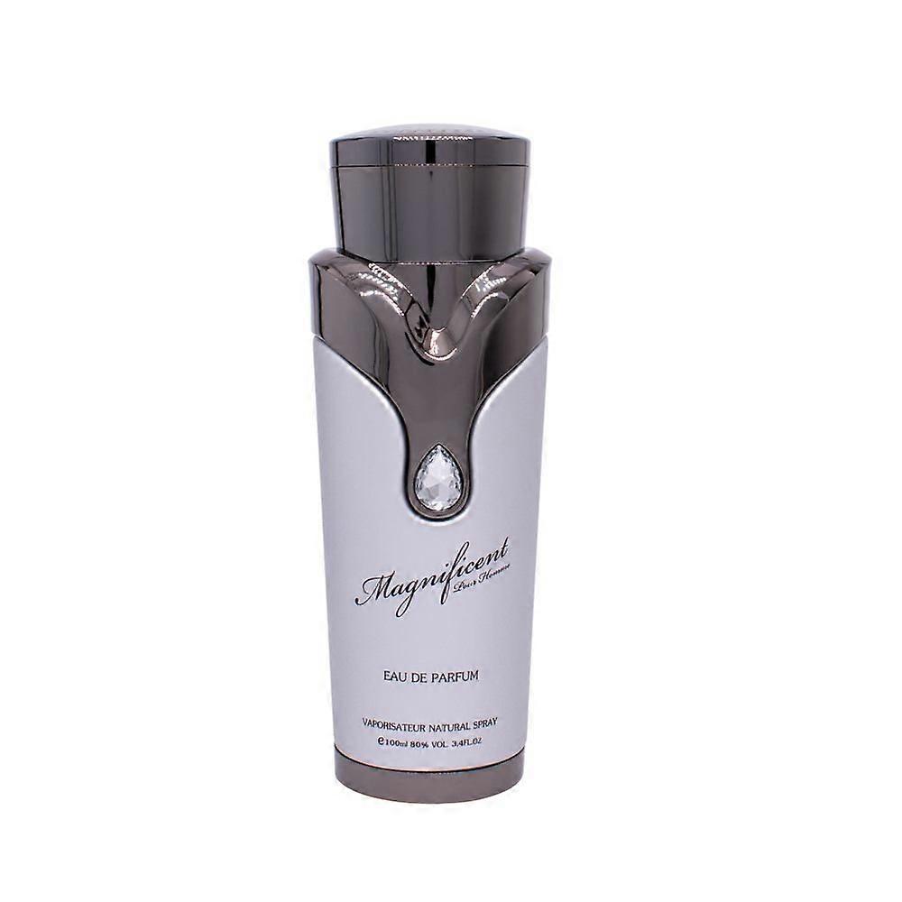 Magnificent Homme EDP 100ml