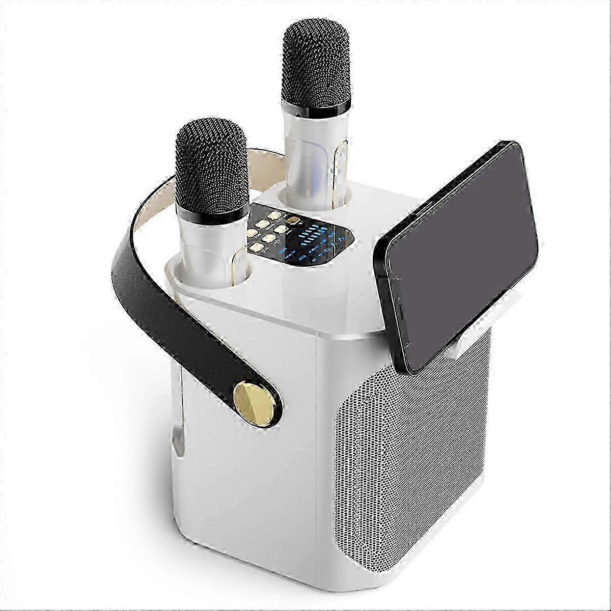 Krachtige karaoke-Bluetooth-luidspreker met dubbele microfoon, wit