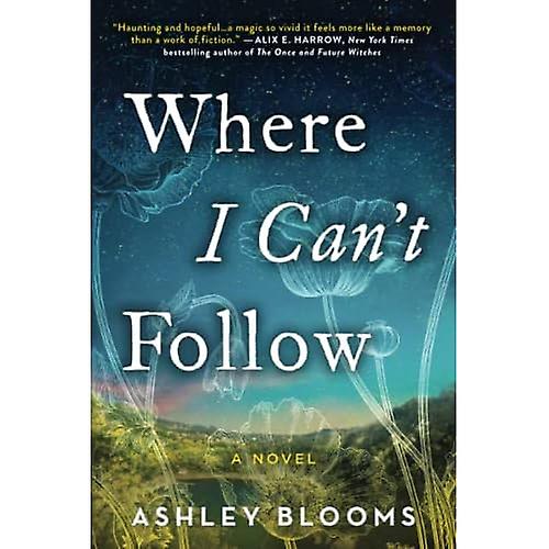 Where I Can't Follow