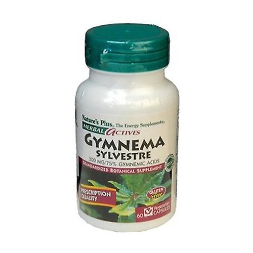 Gymnema Silvestris 60 capsules