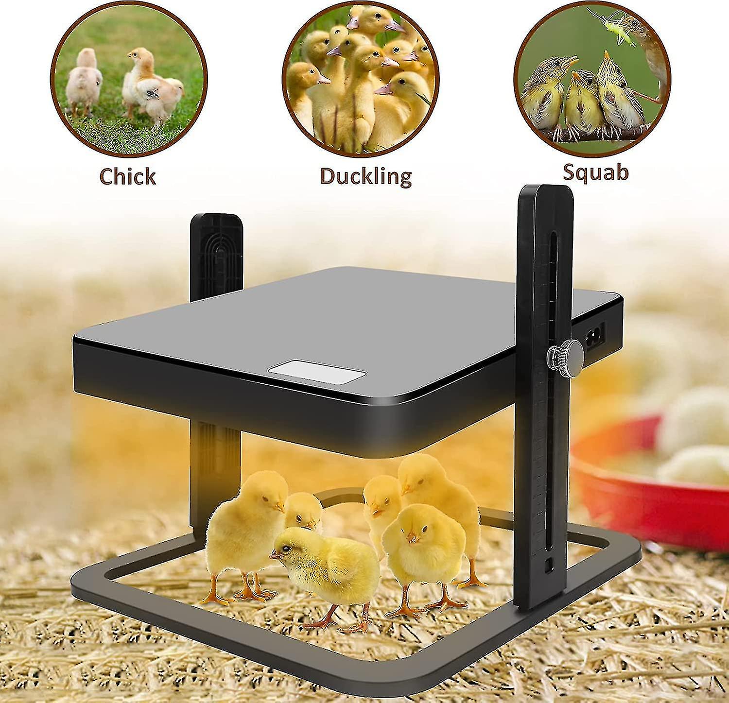 Chick Brooder Heating PlateWith Adjustable Height For Chicks And Ducklings, Warms Up To 15 Chicks