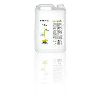 Shampoo for wire-haired dogs