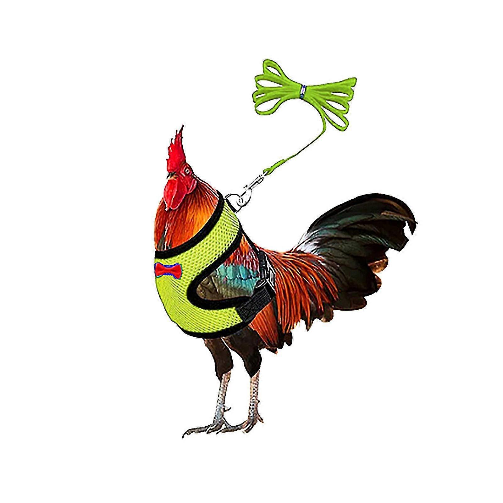 Chicken Rope With Leash Elastic Comfortable Breathable Pet Rope