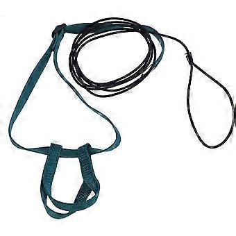 Laisse d’oiseau, ajustable animal de compagnie oiseau perroquet cockatiel harnais laisse pour la marche en plein air taille XS (couleur aléatoire)
