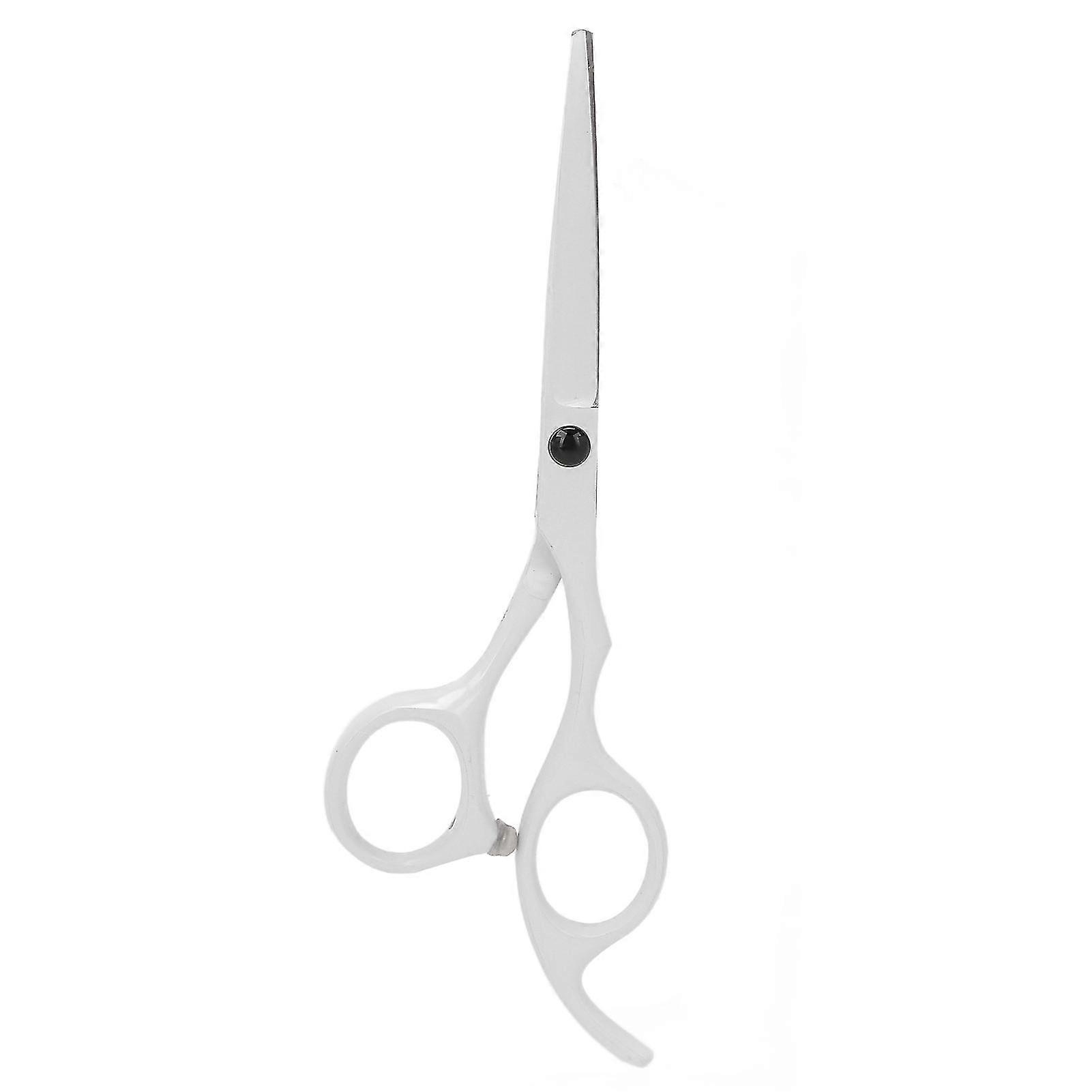 Tesoura de corte de cabelo de aço inoxidável de 6 polegadas Ferramenta de tesoura de cabeleireiro profissional