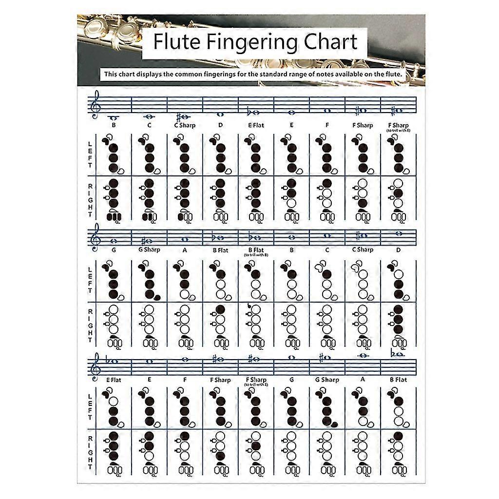 Large/small Durable Portable Fingering Practice Chord Chart For Group Study