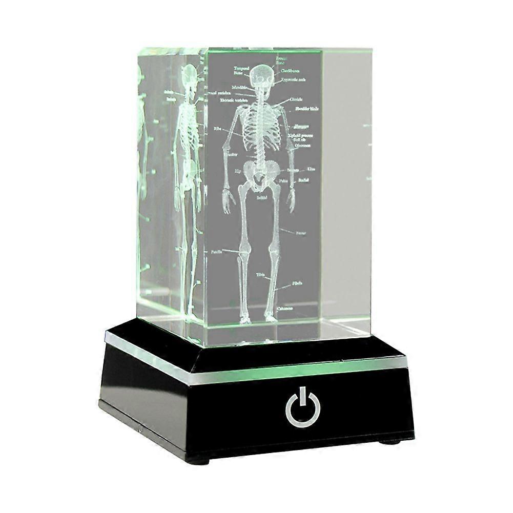 3D Laser Engraved Human Skeletal Crystal Cube Figurines, Medical Science Gifts, Organ Anatomical Mo