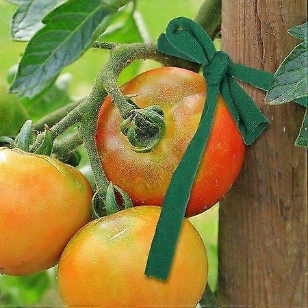 Stretchy 30m Garden Twine for Plant and Tree Support