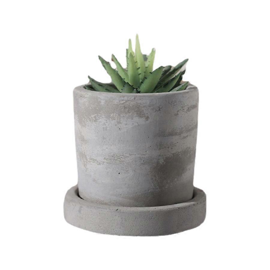 Elegant Cement Planters with Decorative Trays for Home
