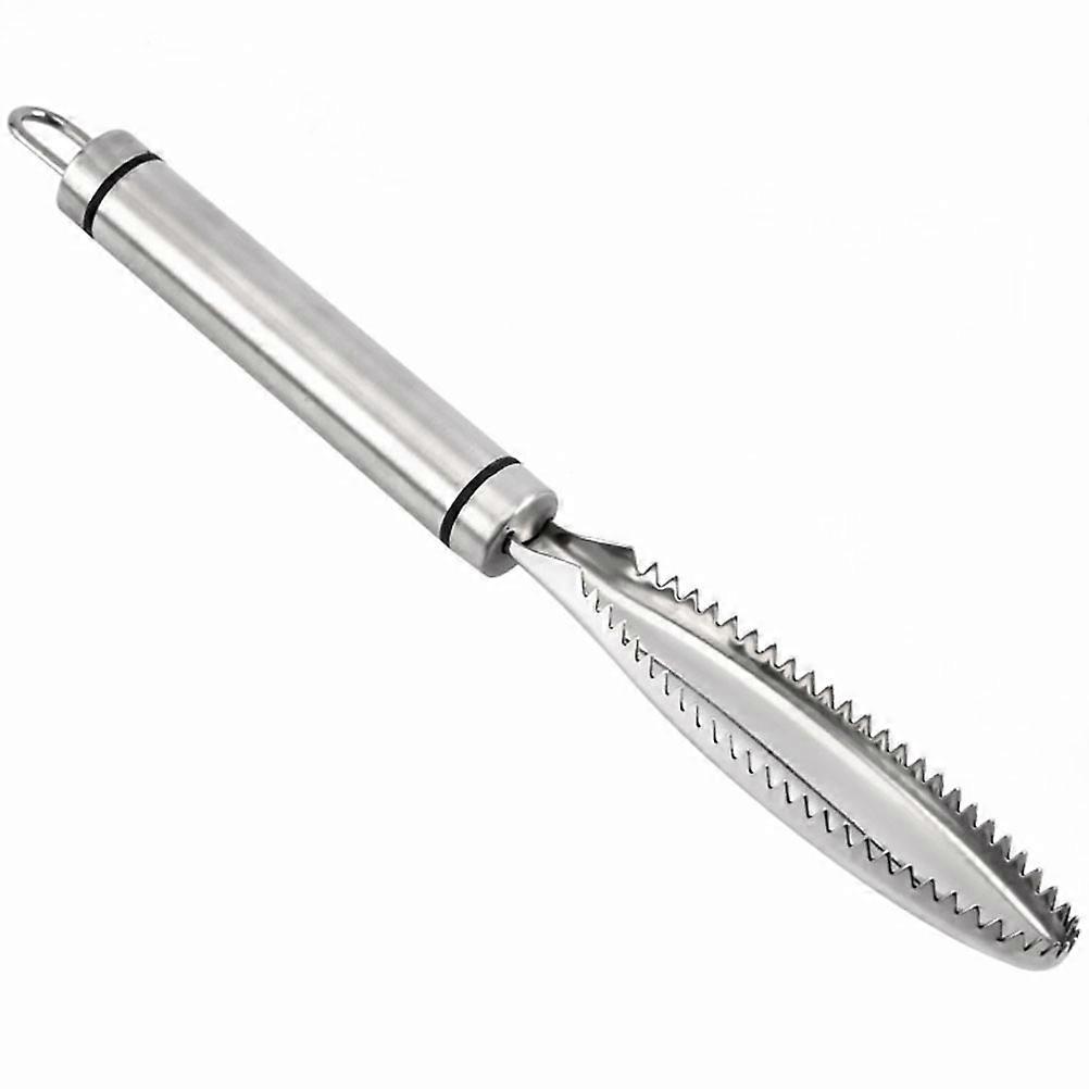 Stainless Steel Fish Scale for Home Use and Comfortable Silver Kitchen Gadget 2 Pieces