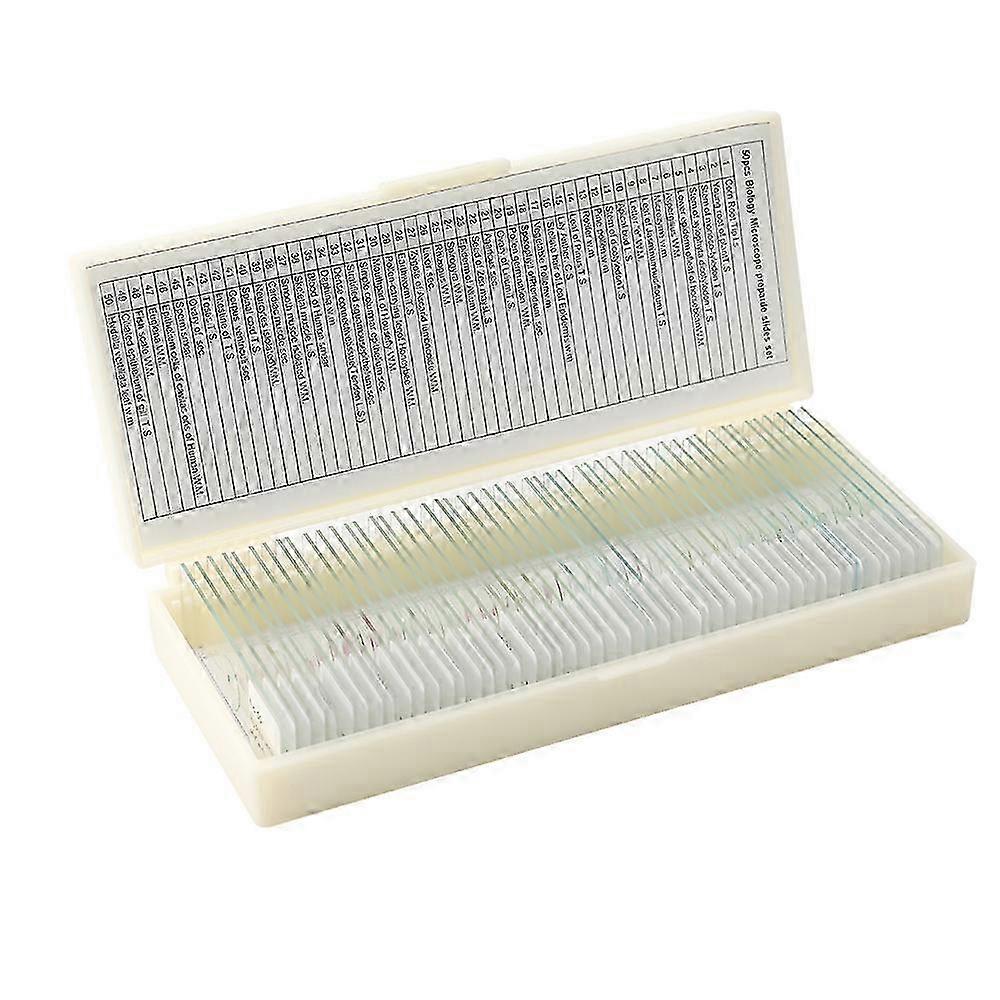 50PCS/Set Biological Glass Sample Prepared Basic Animal Plants Insects Tissues Science Specimen Cover Slips Portable Educational Microscope Slides