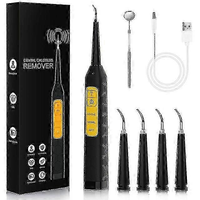 ポータブル超音波ソニック電動歯科用スケーラー歯石除去器USB充電歯石除去ツール歯を白くする家庭用_Gギフト