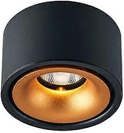 Indoor Surface Mounted Accent Spot Lamp 10W LED Ceiling Spotlight, Directional Downlight for Gallery Corridor