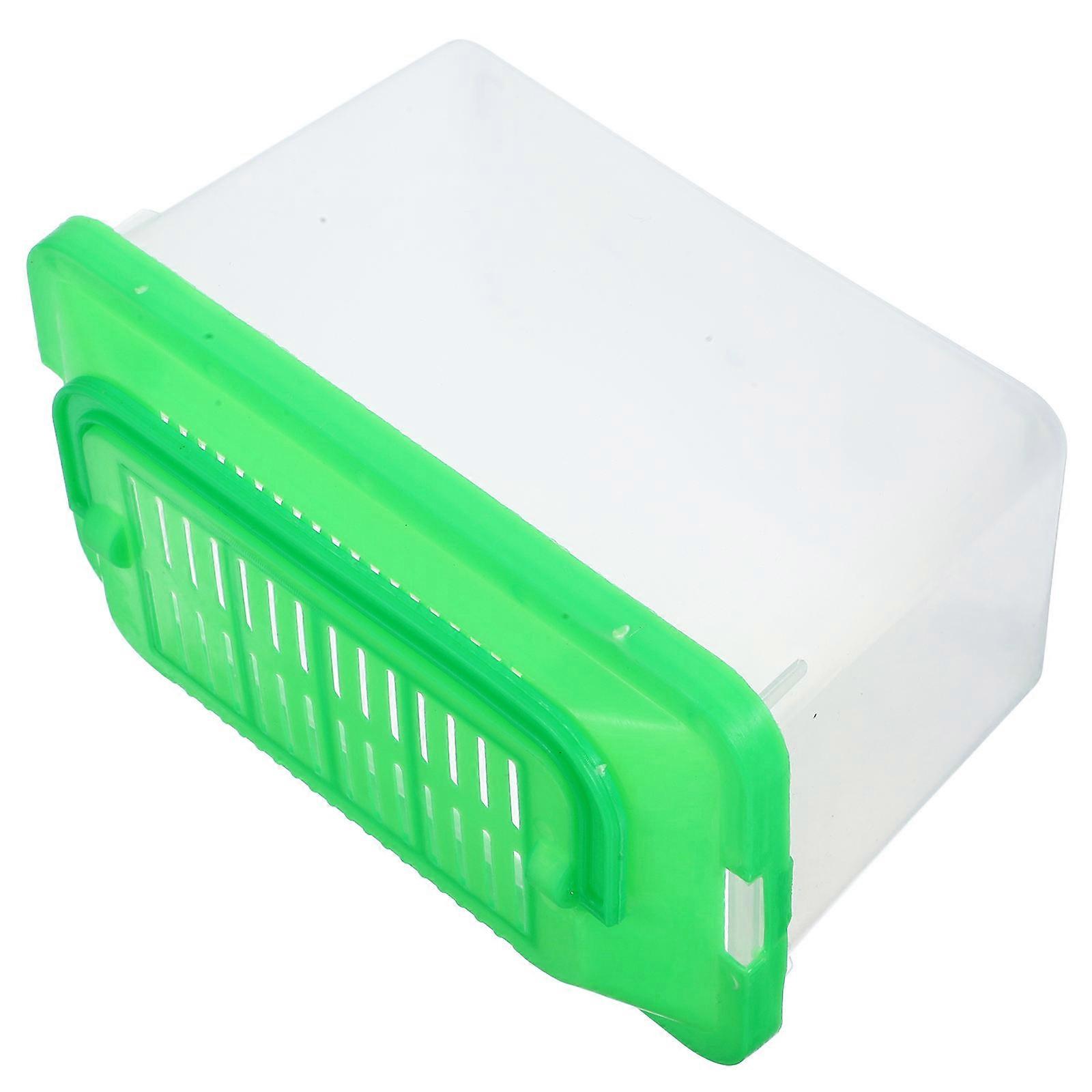 Handheld Pet Storage Box Plastic Turtle Habitat for Storage Easy to Clean