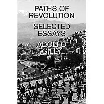 Wege der Revolution: Ausgewählte Essays