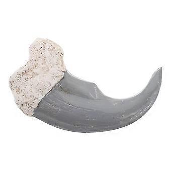 Garra de Urso Fossilizada - Modelo Didático Realista de Corpo Animal - Réplica Realista de Garra de Urso Fossilizada para Decoração em Educação Científica
